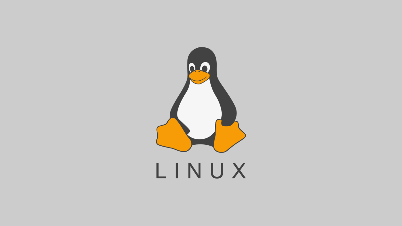 История успеха Линуса Торвальдса, создателя ОС Linux История успеха Линуса Торвальдса, создателя ОС Linux